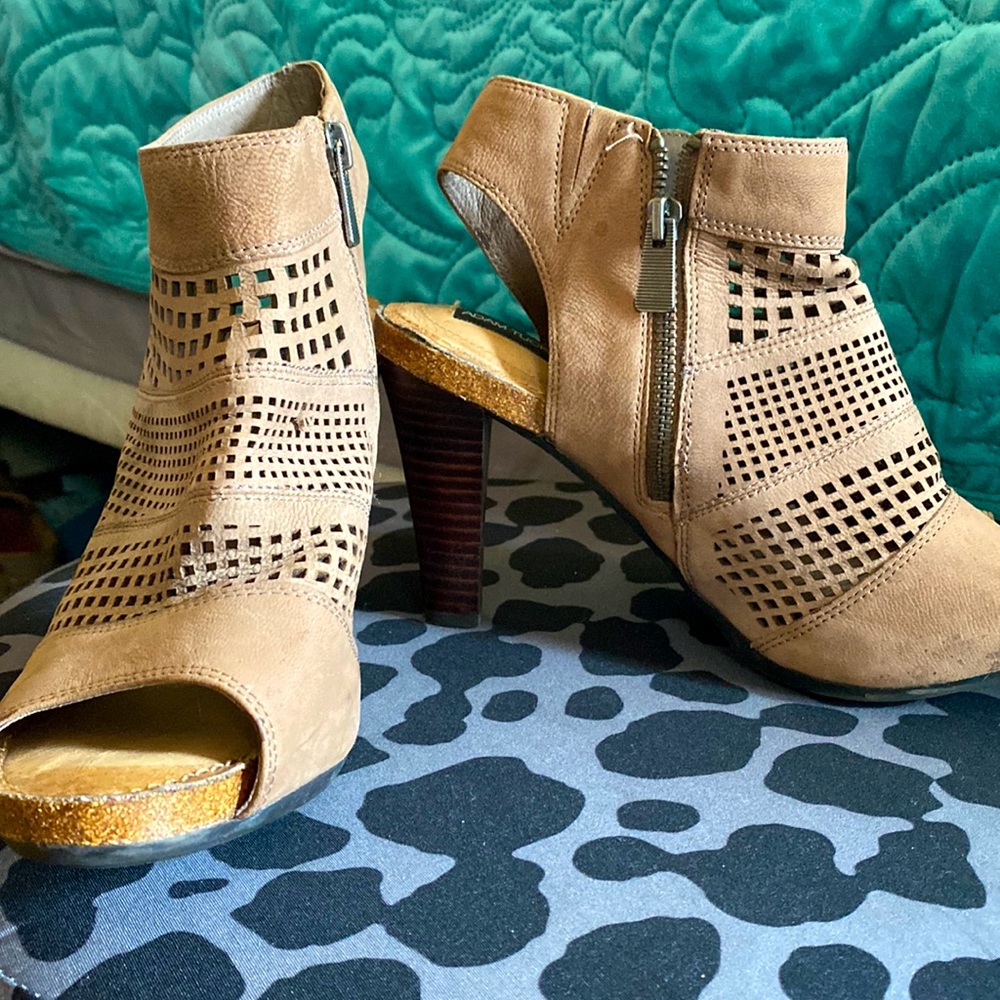 Adam Tucker heels
